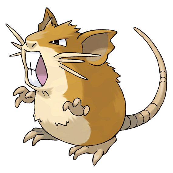 Raticate